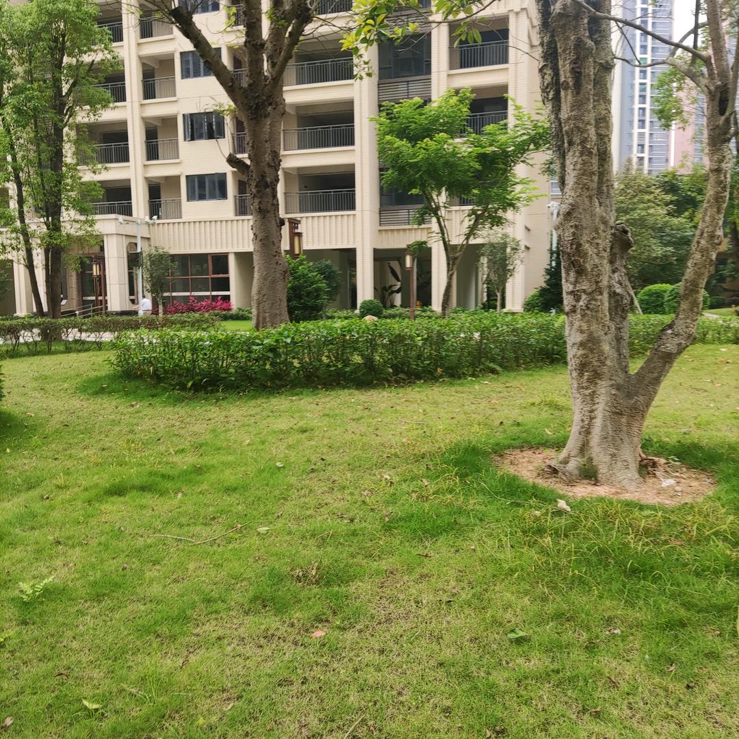 忘掉过去。