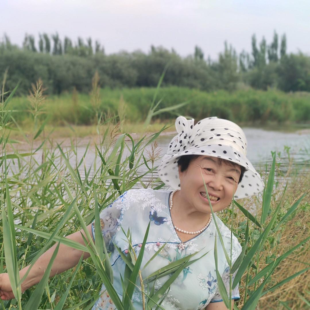 春花秋实