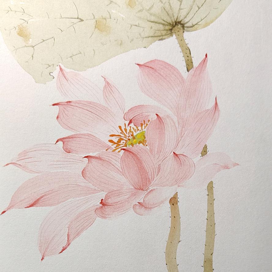 大蕊儿画画