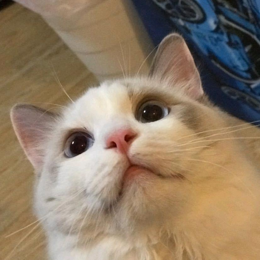 –