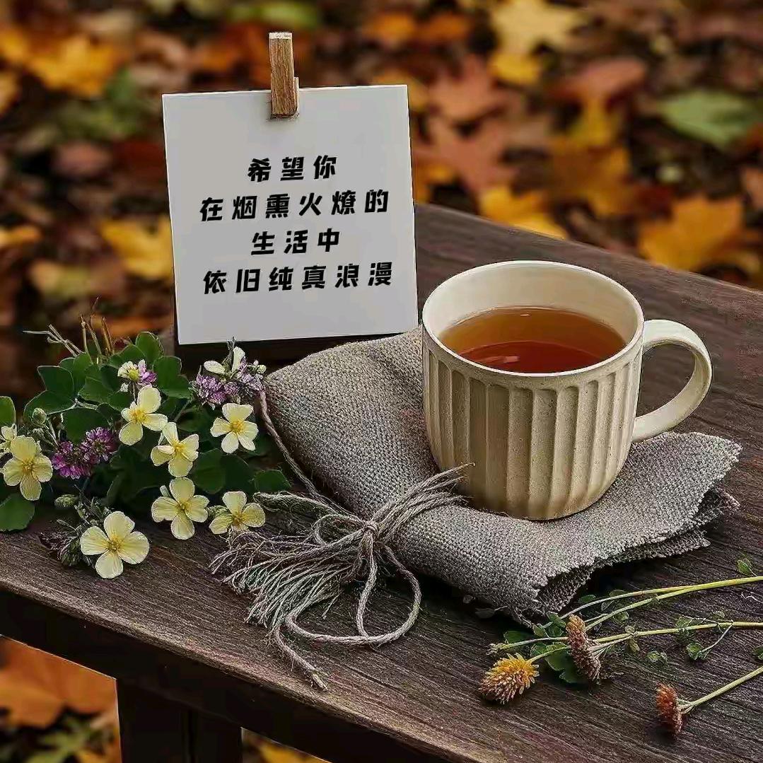 和光同尘，与时舒卷 。