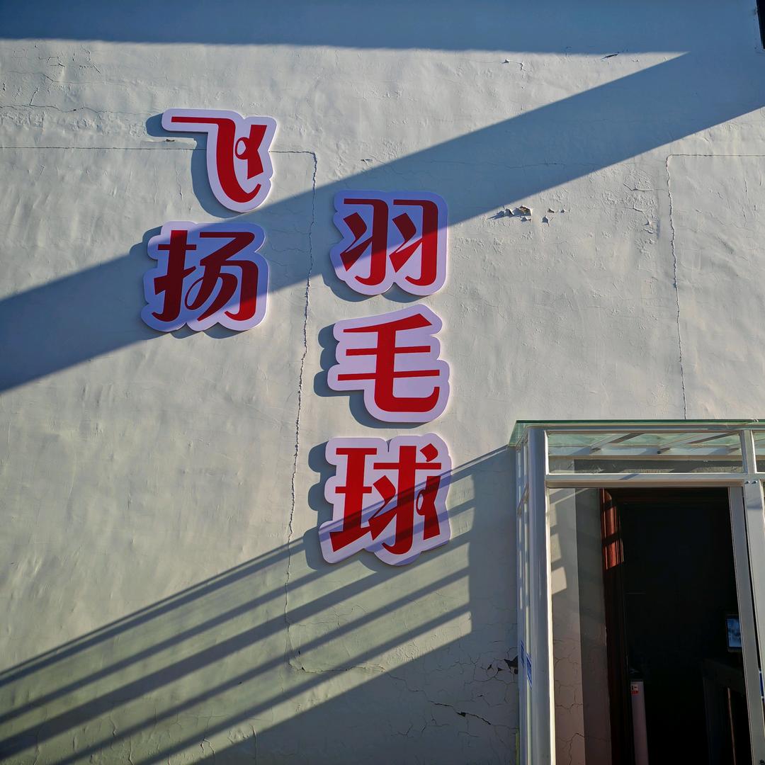 飞扬羽毛球官方号