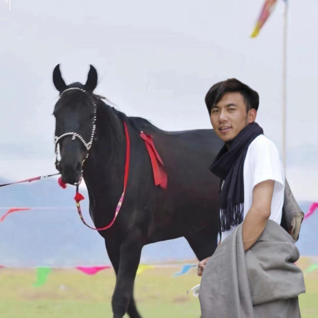 谢尔