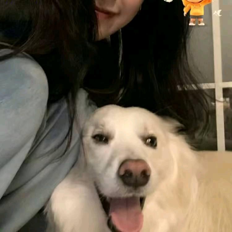 ꪶᰔᩚꪜꫀᵐme