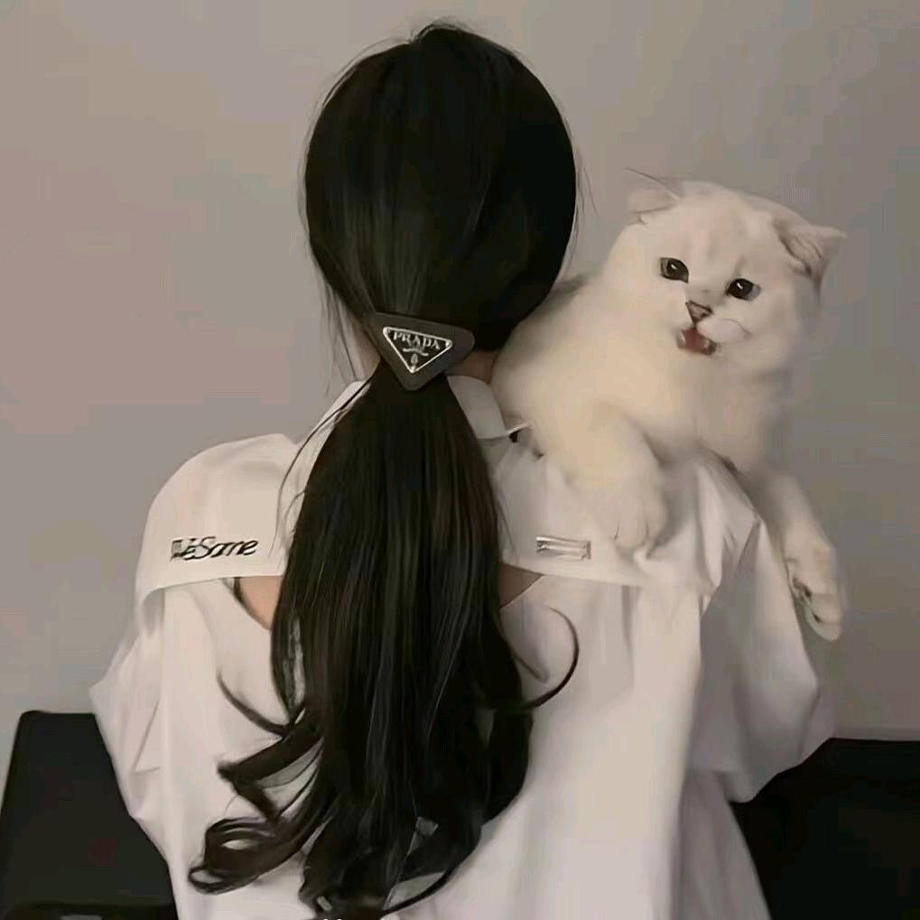 孤独伴我安然无恙i