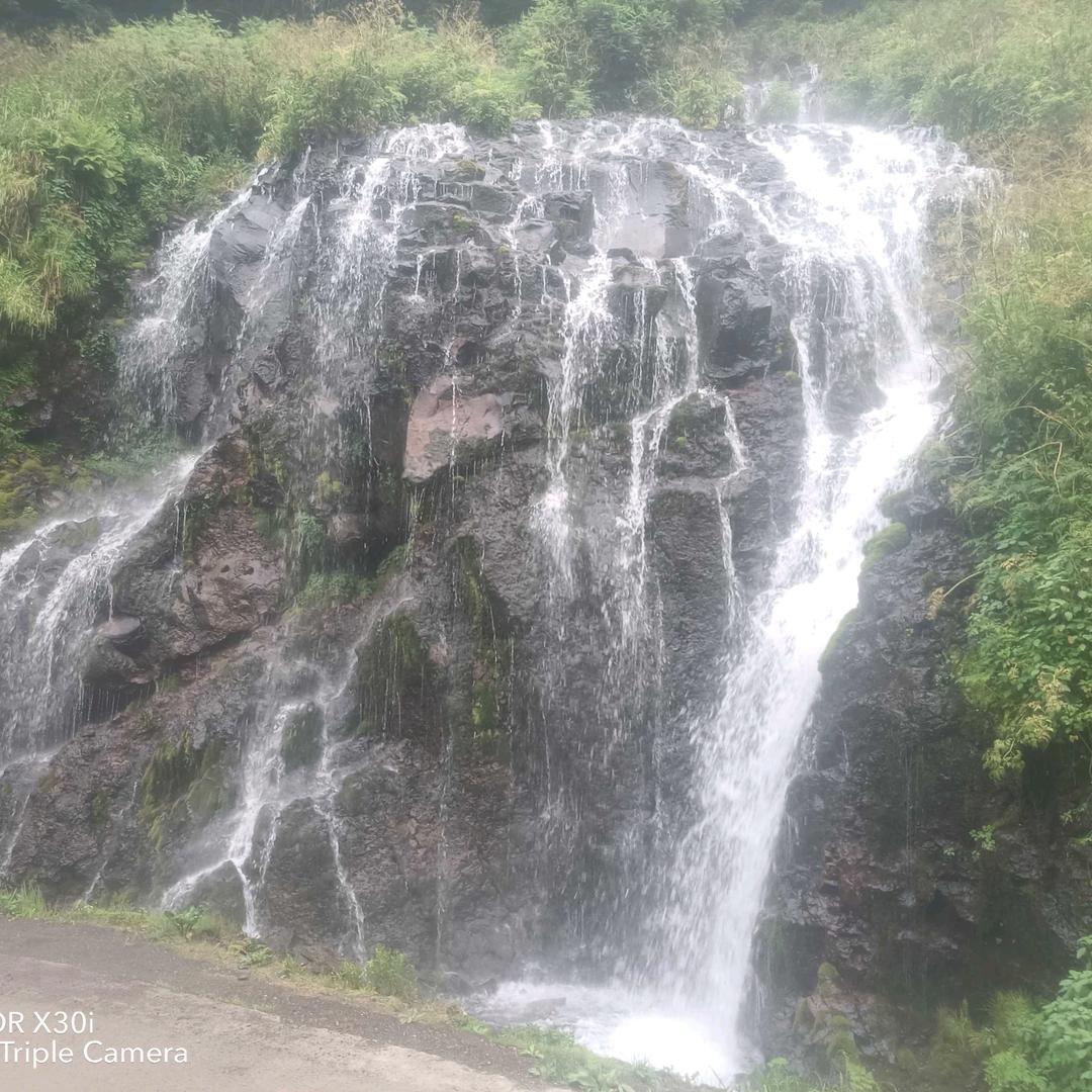 ❄️🐷猪勇❄️