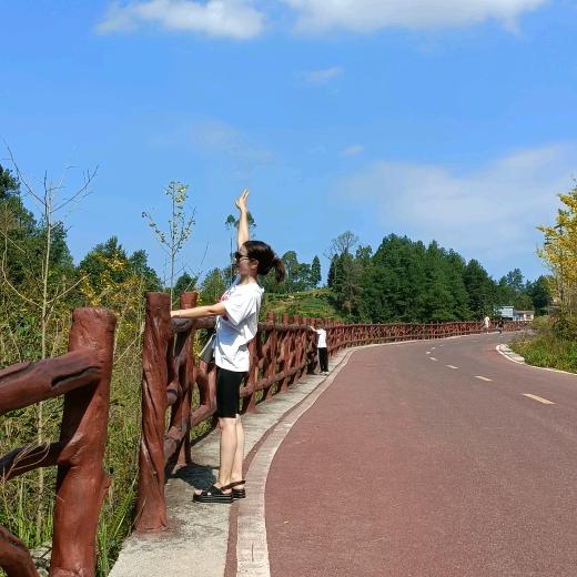 一路向阳