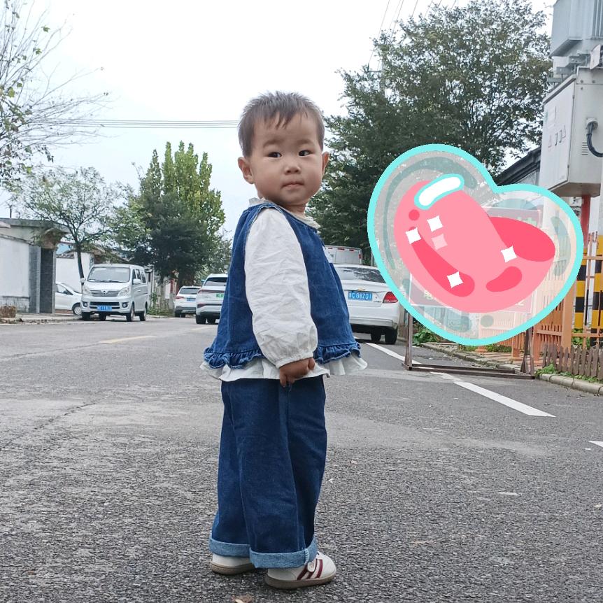 等风来、🍃