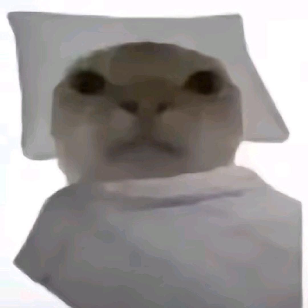 坚果老师
