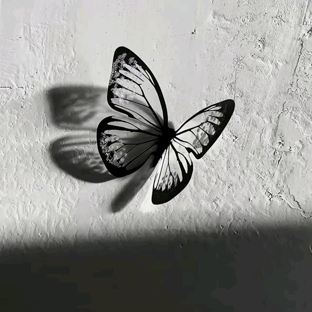 葵🌻向晴空🌞