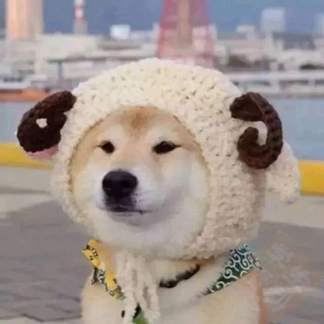 暴富之人