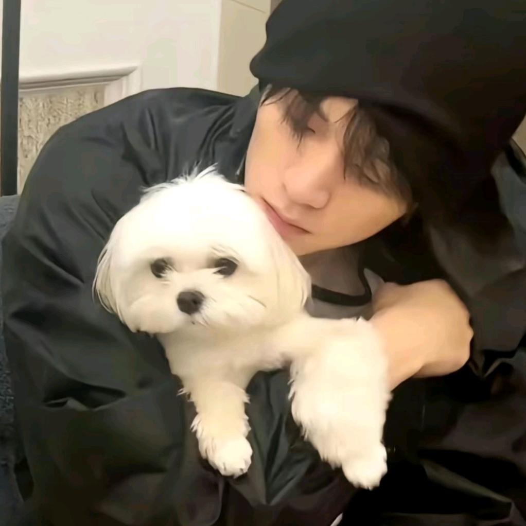 小羊（有关必回）