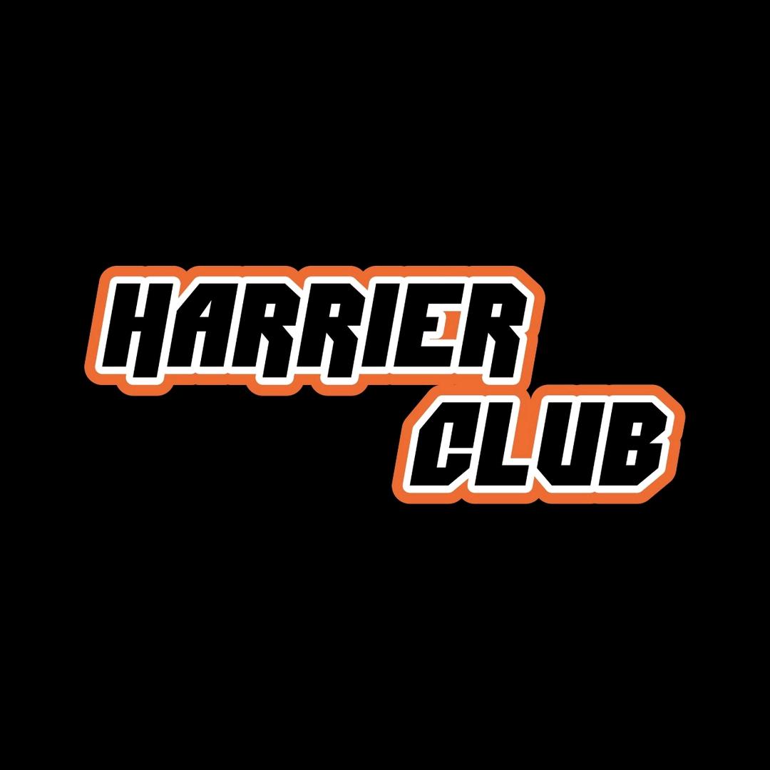 HARRIER哈瑞尔球星卡