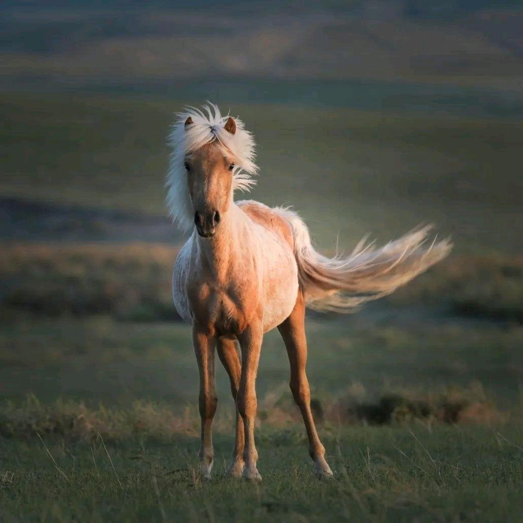 钰莎的超级老爸