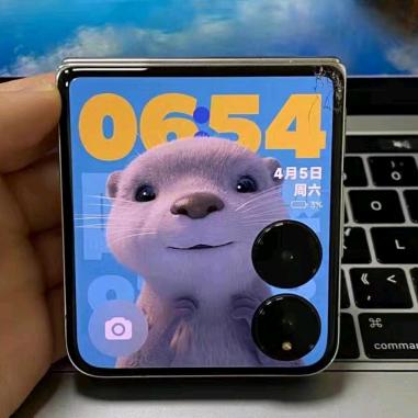 不会KZ的老寒腿