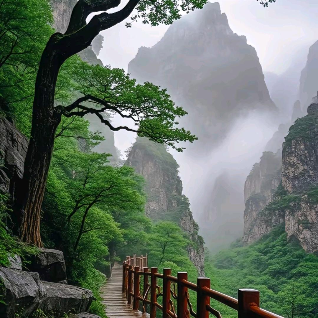 王敏
