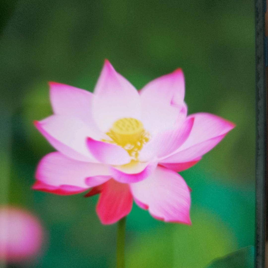 天天开心123