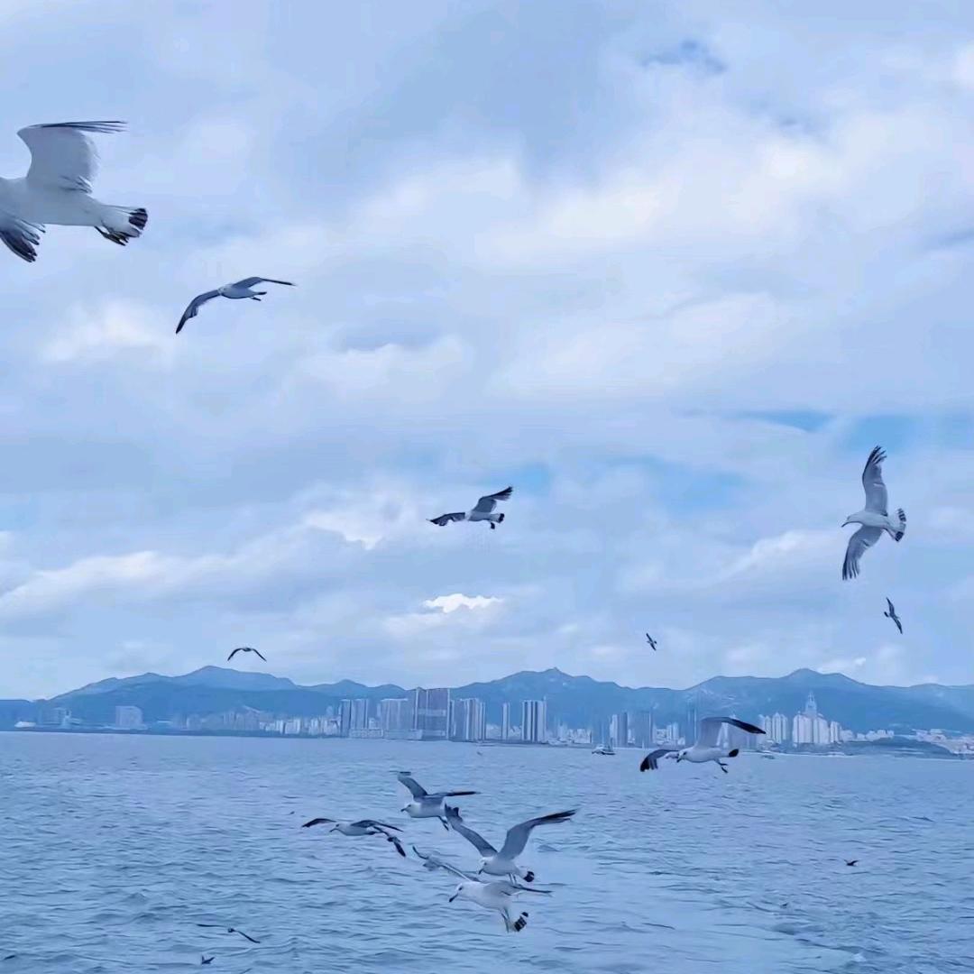 苍琼幽灵