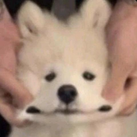 怎么吃不饱
