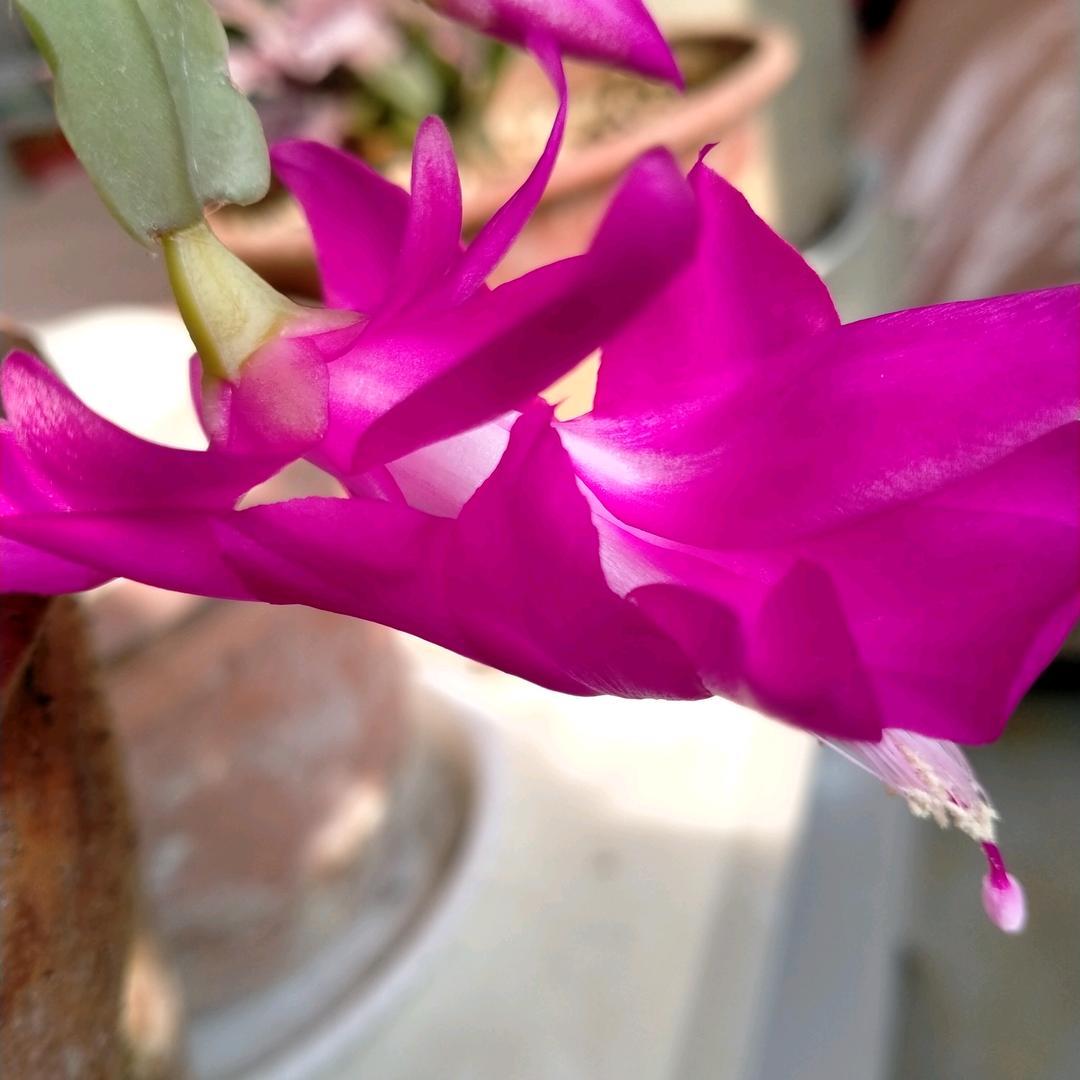 用户1754970208736张芳