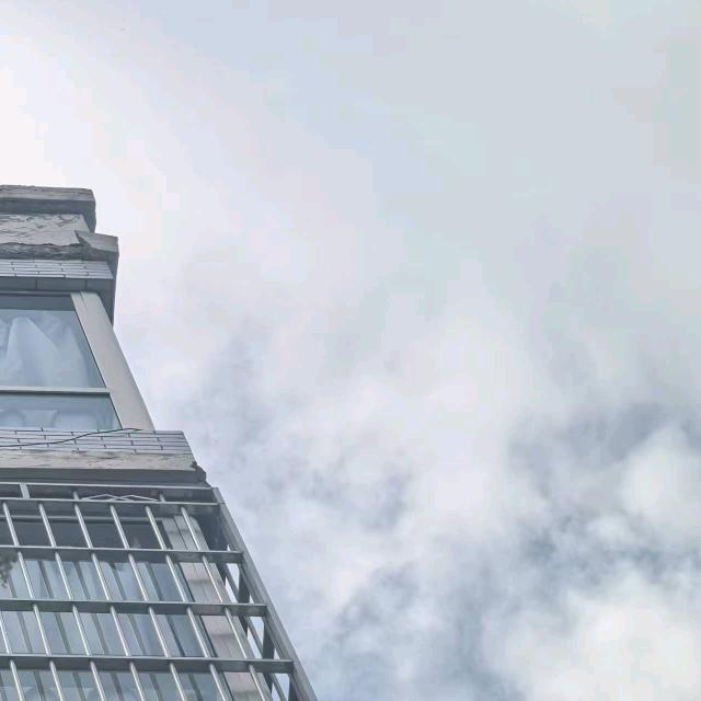 45241561952