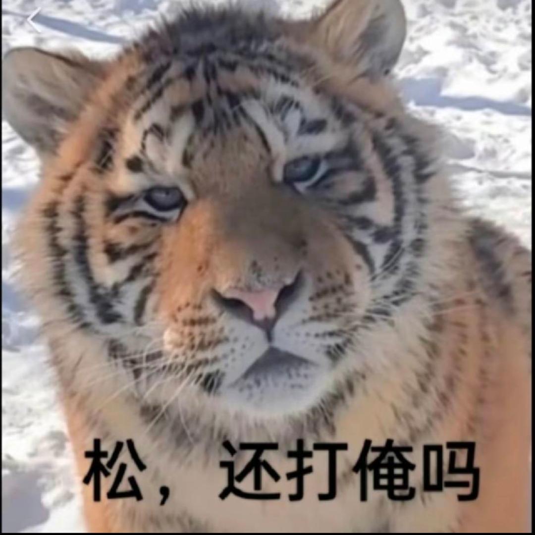 松还打俺吗