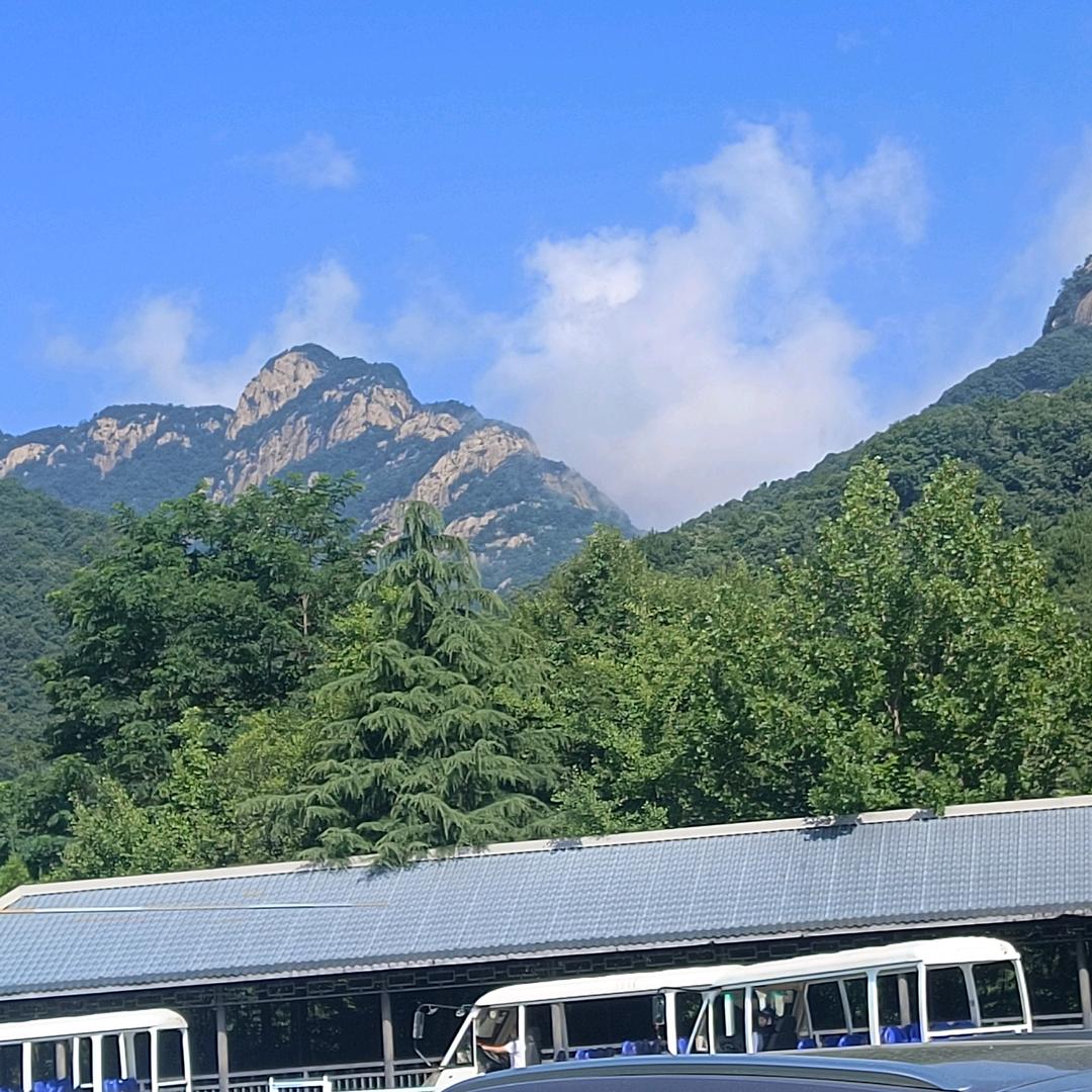 有色金属回收