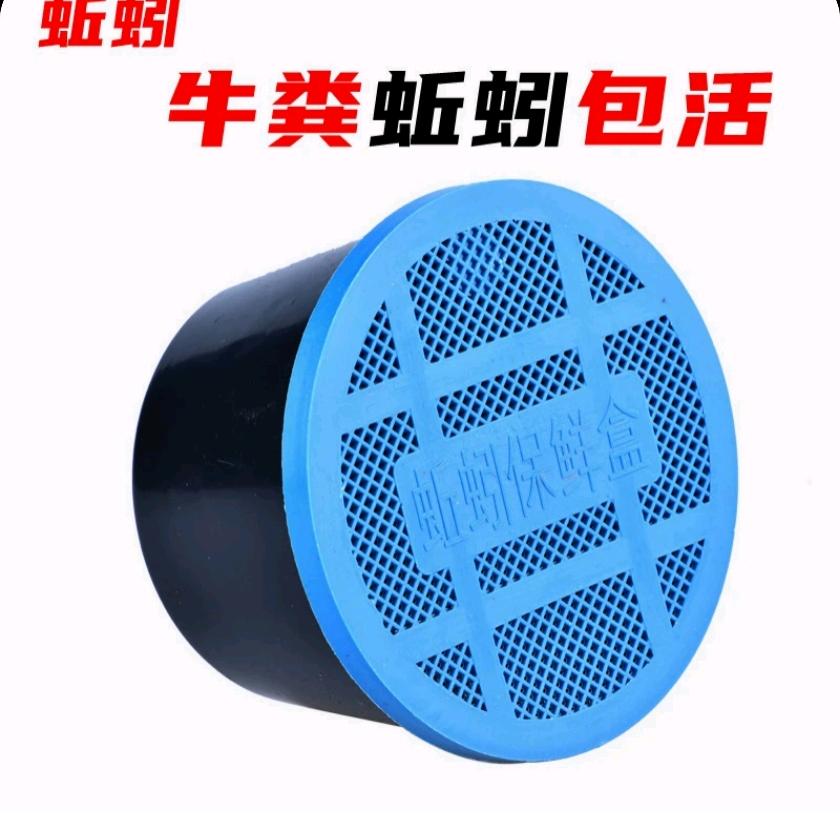 蚯蚓美丽乡村