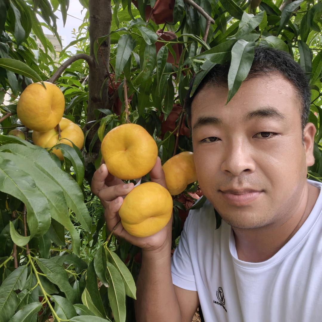式源果树苗木专营店