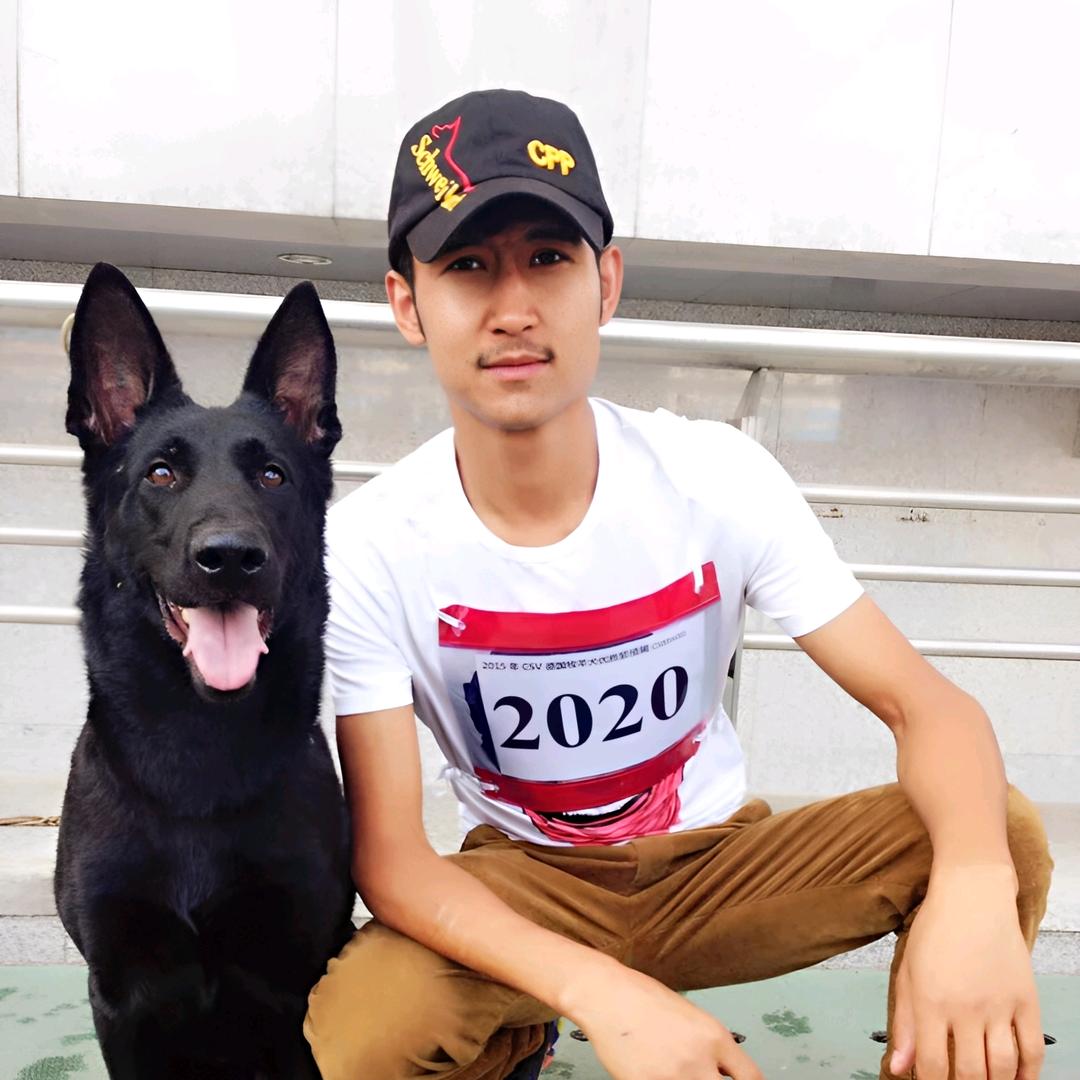 阿尔法训犬