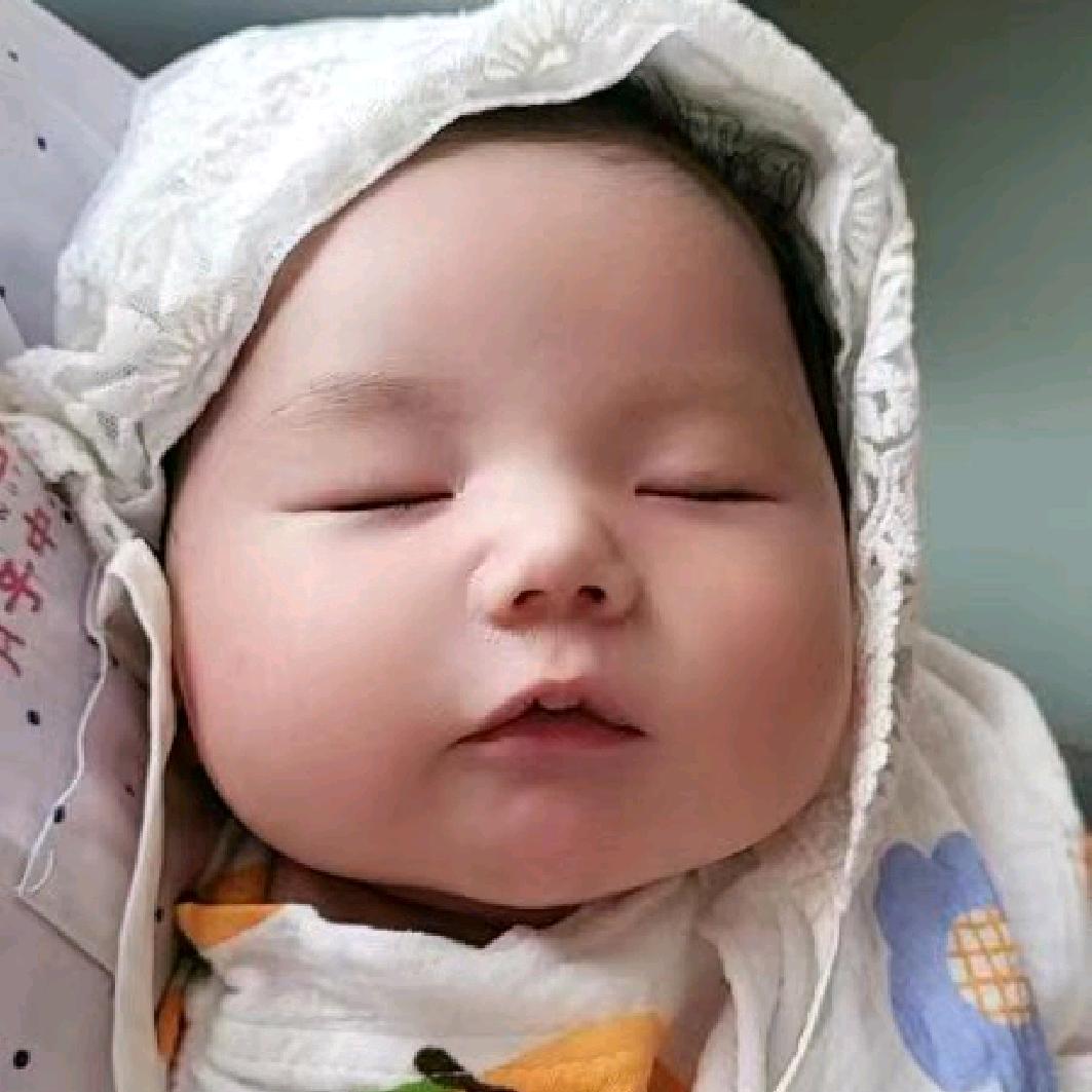 我家三宝