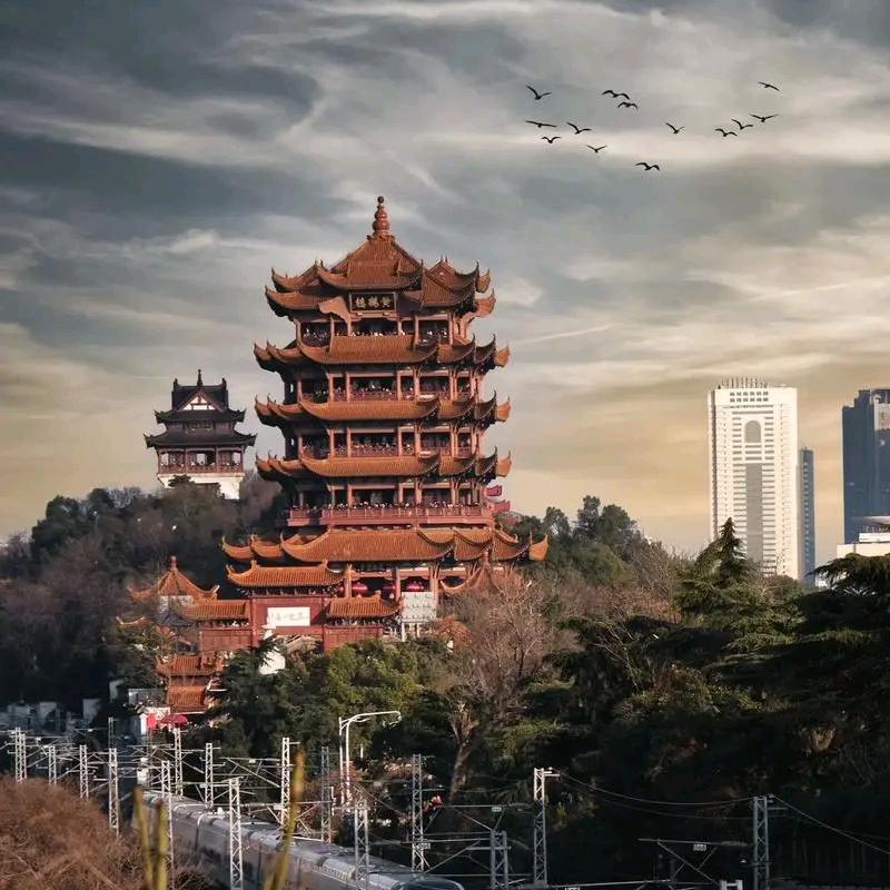 旺城问
