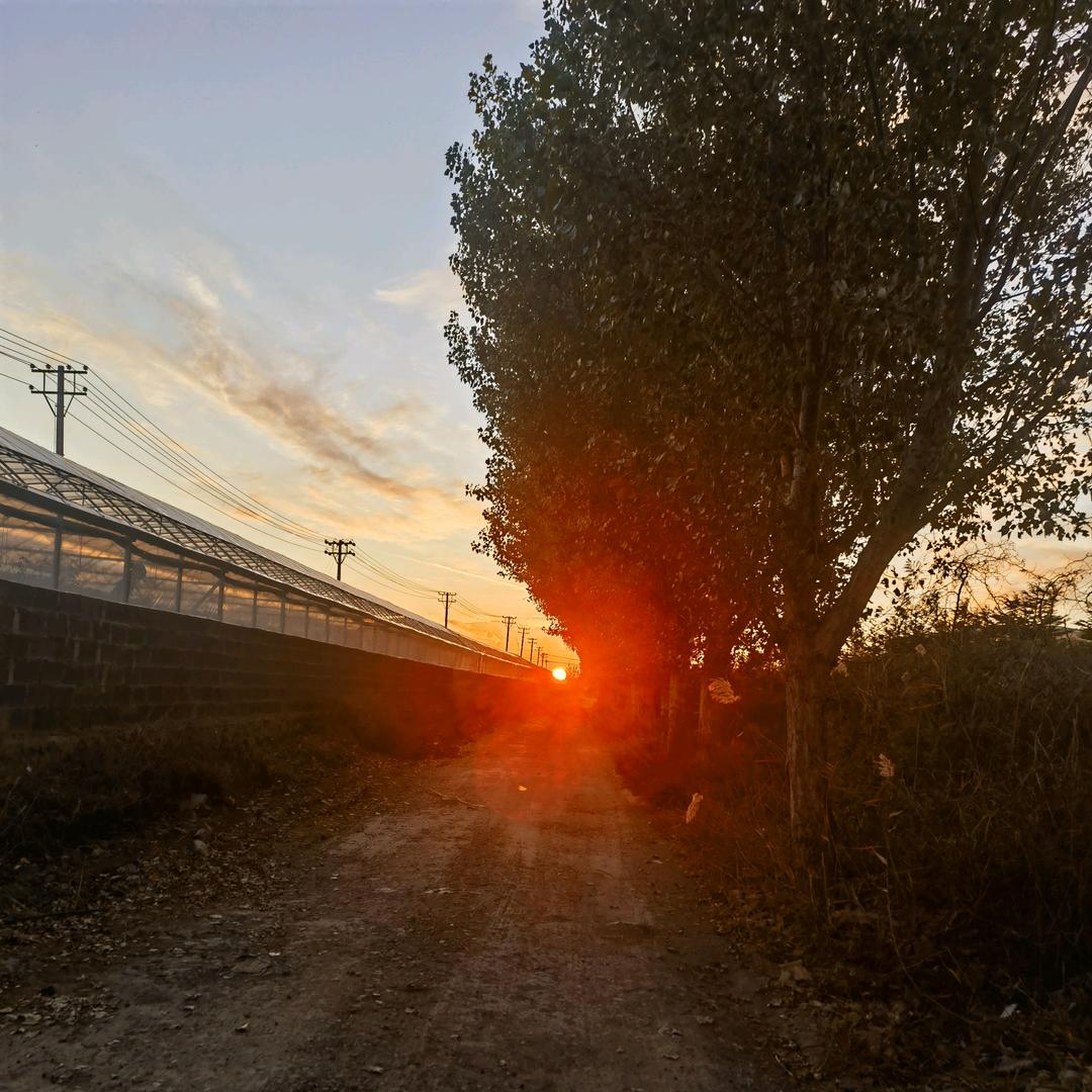 何以解忧，唯有暴富.