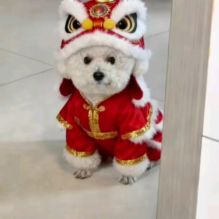 我一不小心爱上你做我老婆