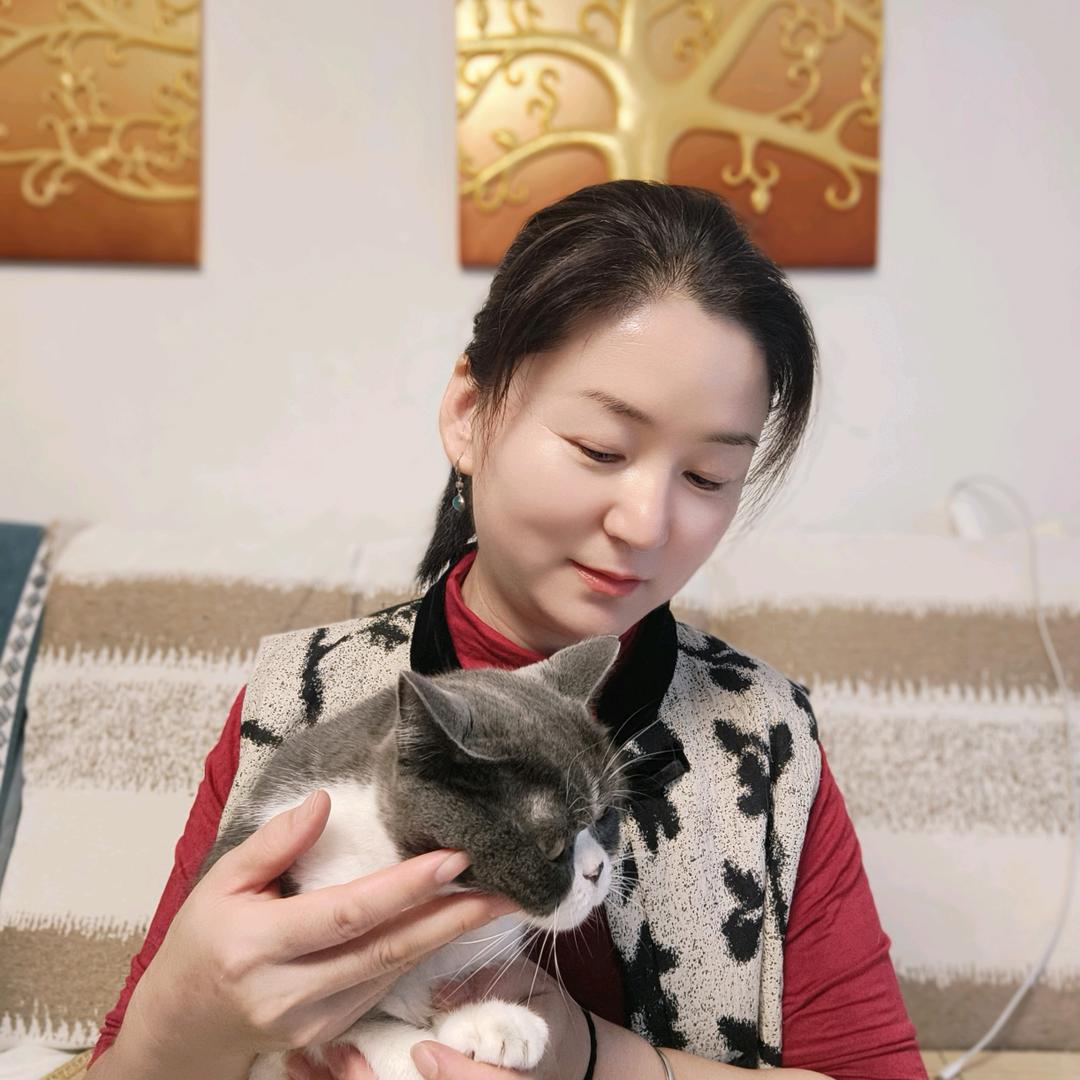 丁丁的喵