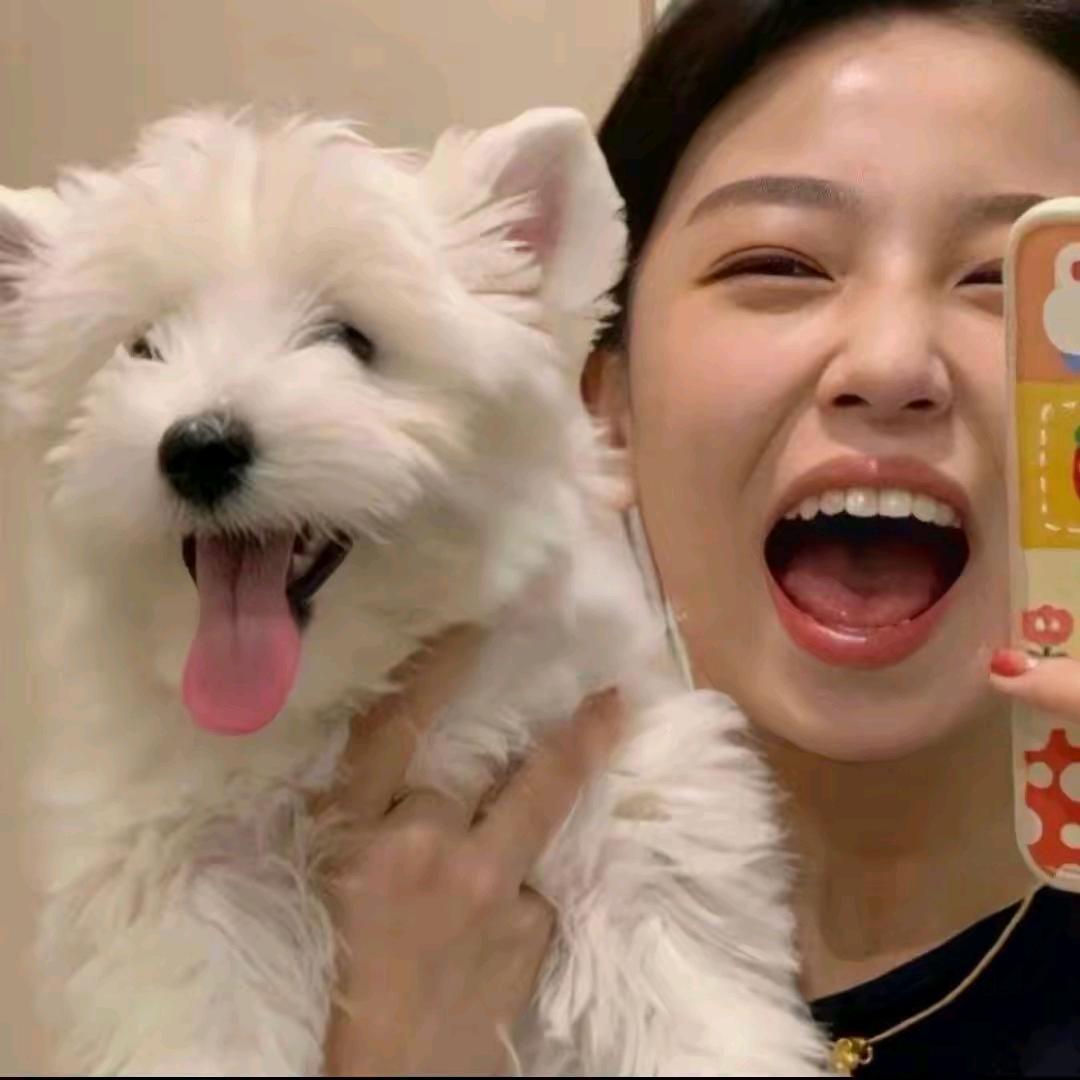 乐乐不吃香菜