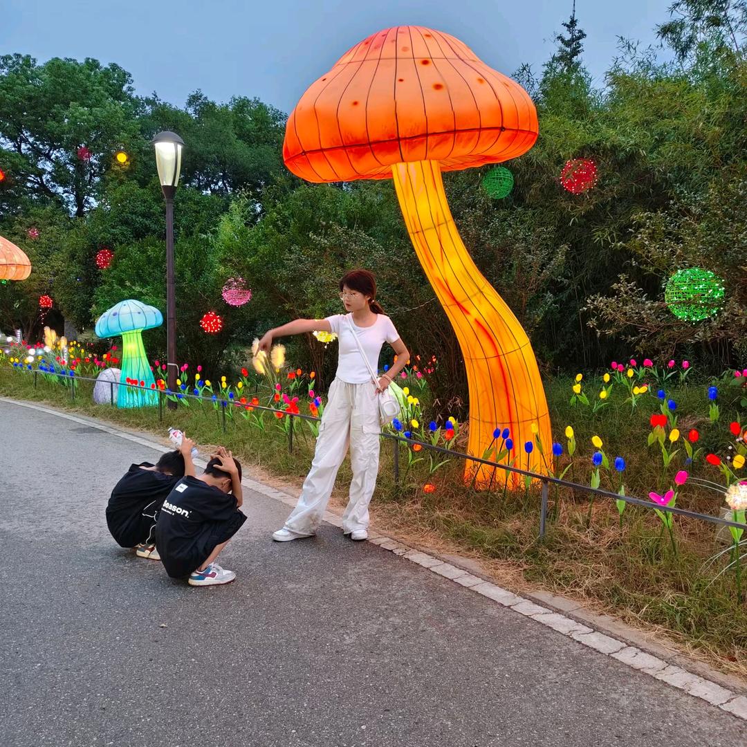 耿菲婷