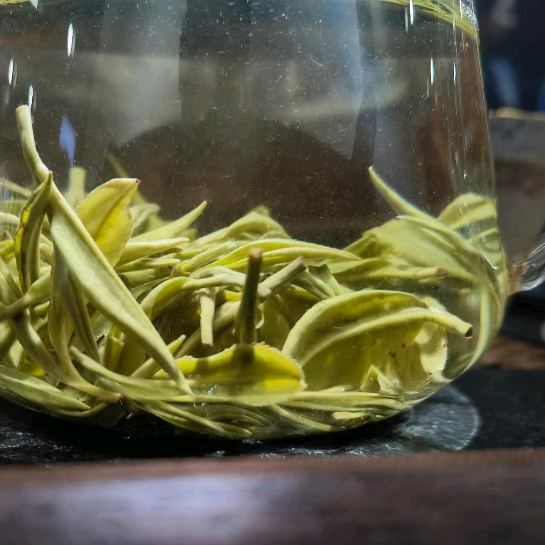 凤凰古城客栈住宿旅拍