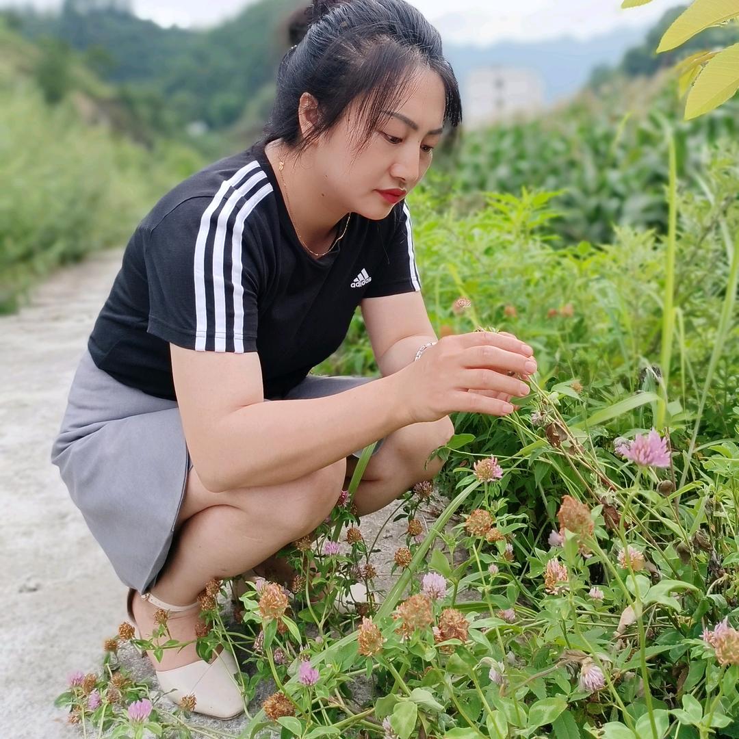 专注 问题性头皮