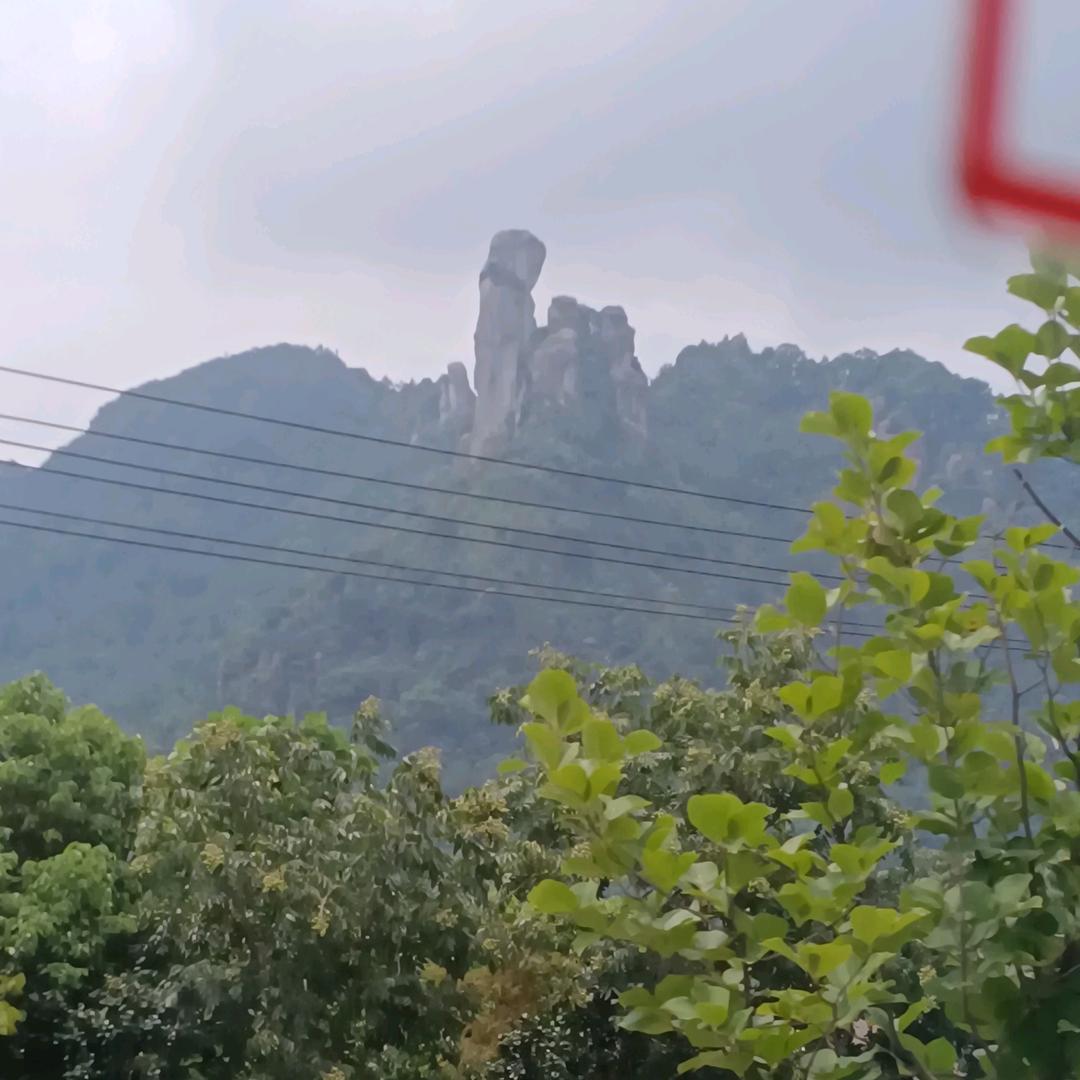 嗨皮