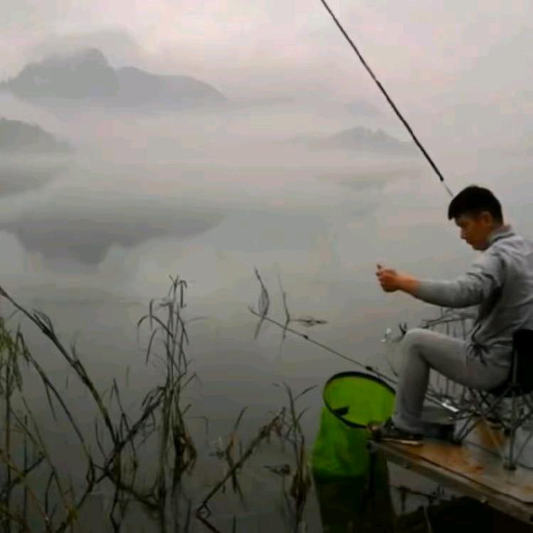 杨不帆🎣