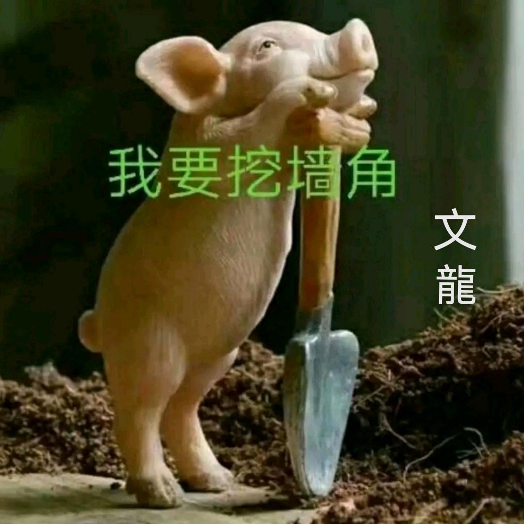 文🐉龍