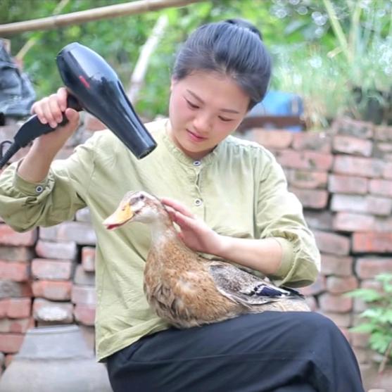 谢二妹的乡村生活