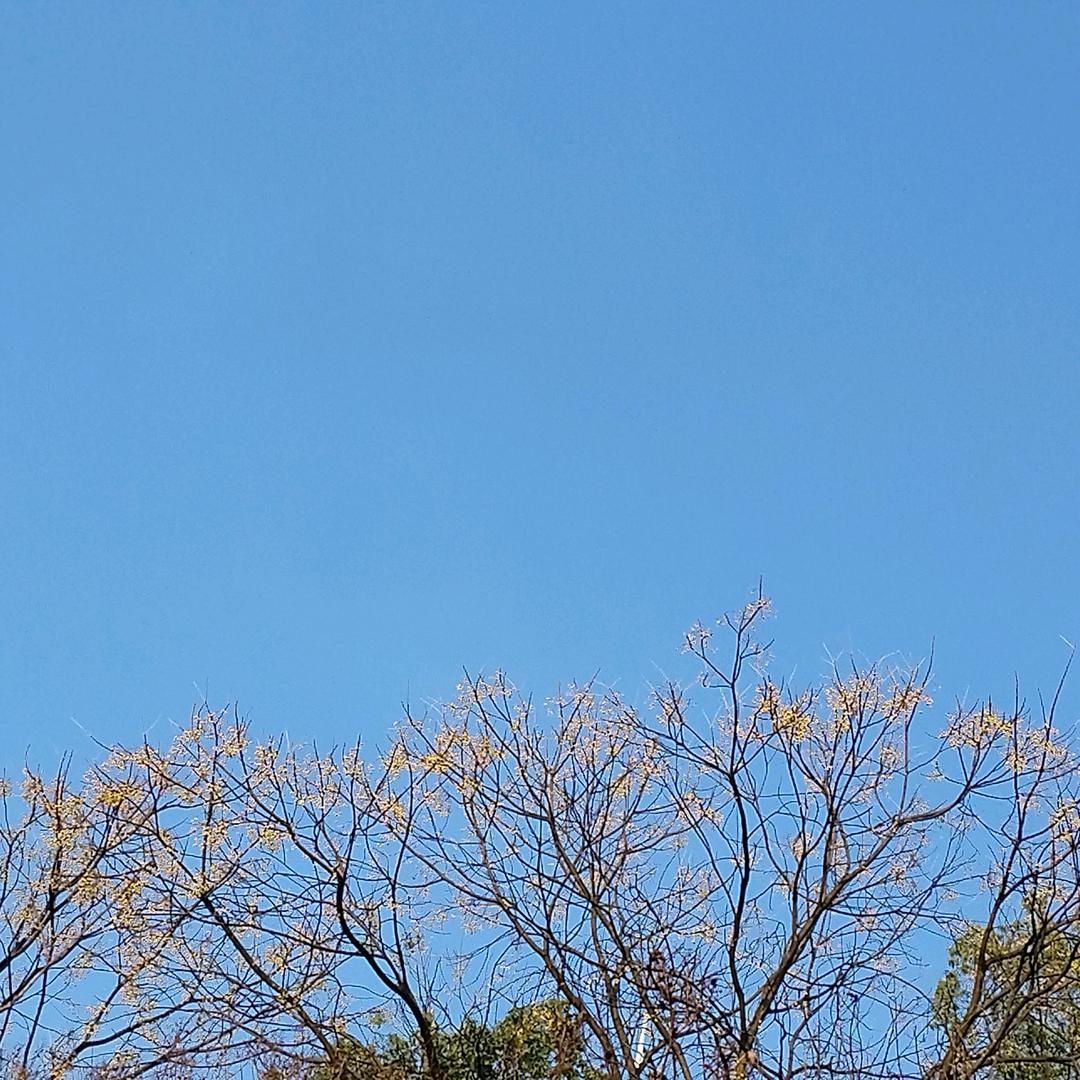 珊珊