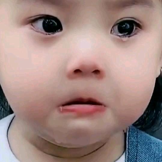 静心观世界