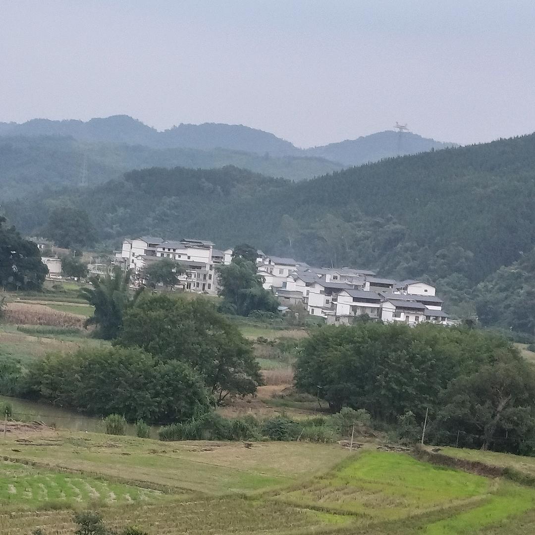 等风等雨不如你