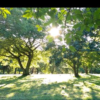 周文强智慧语录