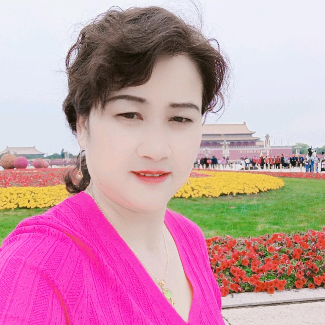 飞蛾向光🐳 🐳