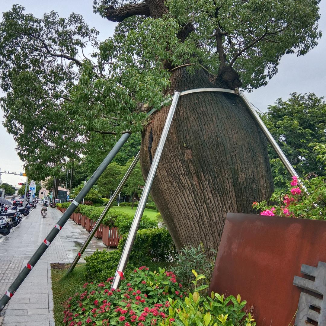 春天的归来的梦缘、ⅹ徐s氏?TV、信阳