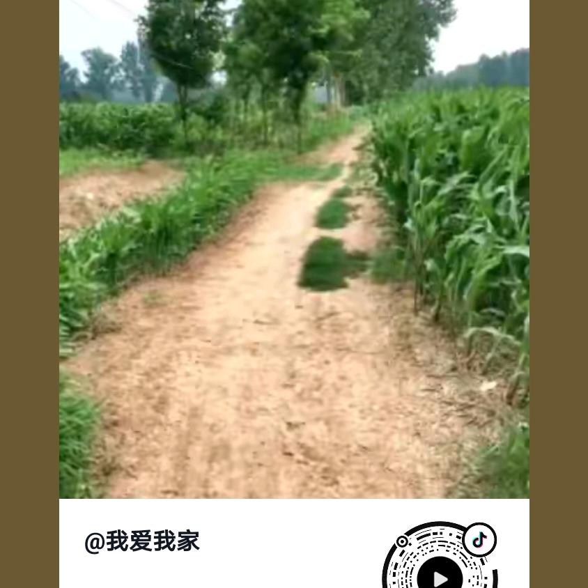 我爱我家